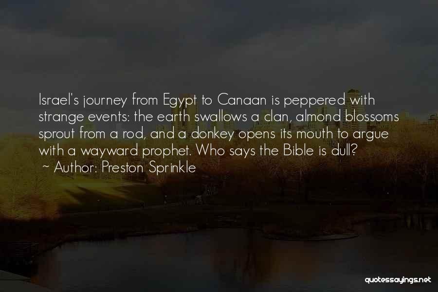 Preston Sprinkle Quotes: Israel's Journey From Egypt To Canaan Is Peppered With Strange Events: The Earth Swallows A Clan, Almond Blossoms Sprout From