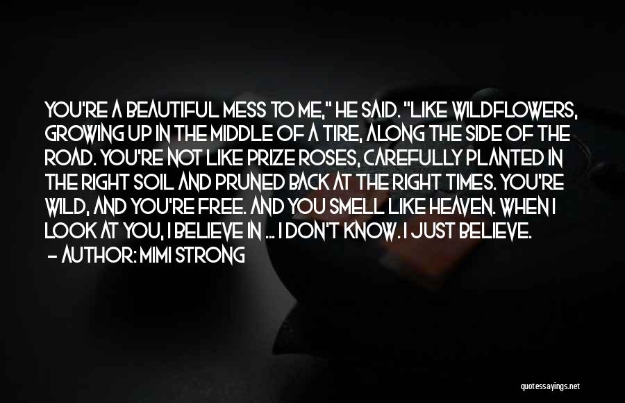 Mimi Strong Quotes: You're A Beautiful Mess To Me, He Said. Like Wildflowers, Growing Up In The Middle Of A Tire, Along The