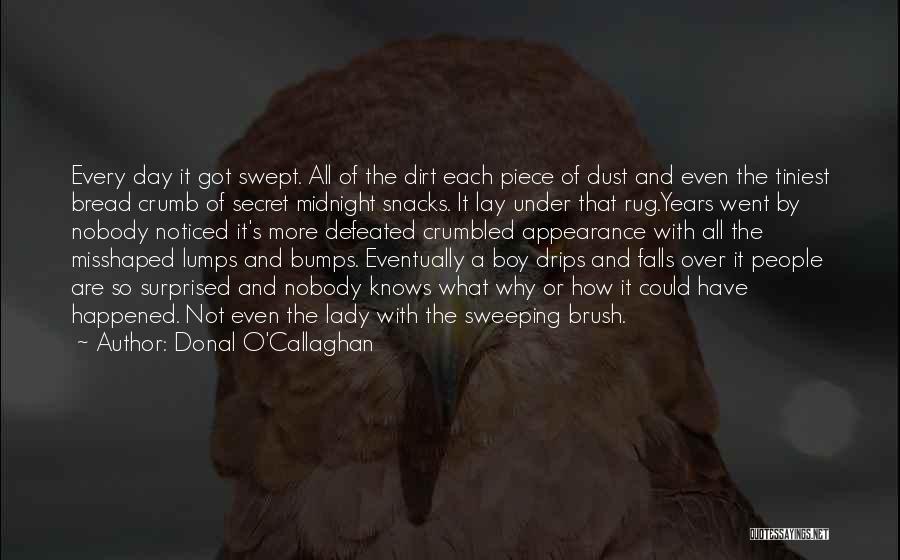 Donal O'Callaghan Quotes: Every Day It Got Swept. All Of The Dirt Each Piece Of Dust And Even The Tiniest Bread Crumb Of