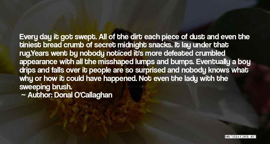 Donal O'Callaghan Quotes: Every Day It Got Swept. All Of The Dirt Each Piece Of Dust And Even The Tiniest Bread Crumb Of