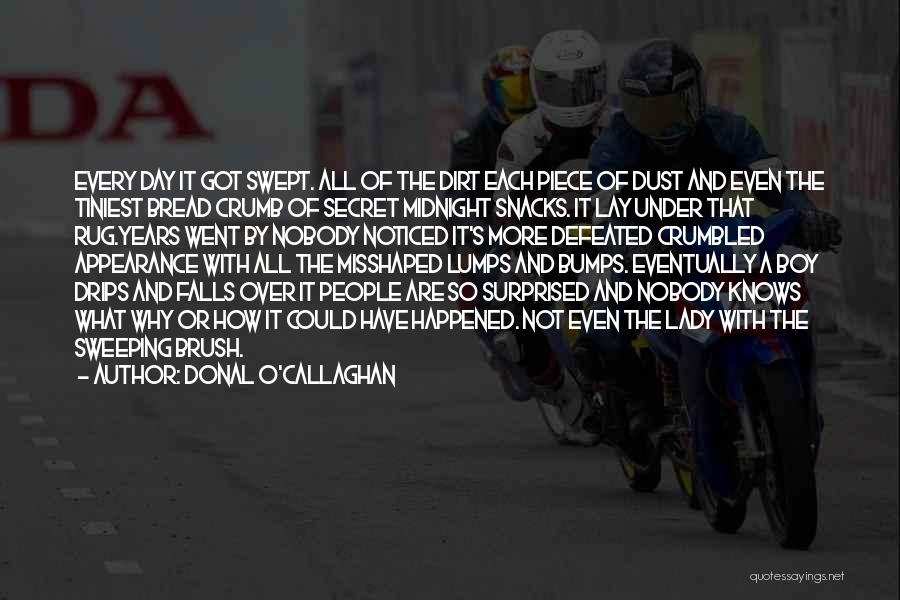 Donal O'Callaghan Quotes: Every Day It Got Swept. All Of The Dirt Each Piece Of Dust And Even The Tiniest Bread Crumb Of