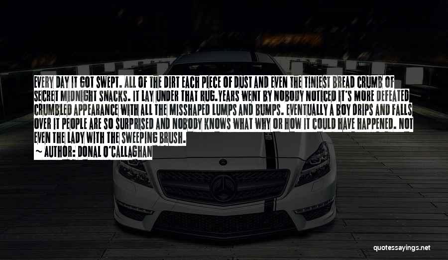 Donal O'Callaghan Quotes: Every Day It Got Swept. All Of The Dirt Each Piece Of Dust And Even The Tiniest Bread Crumb Of