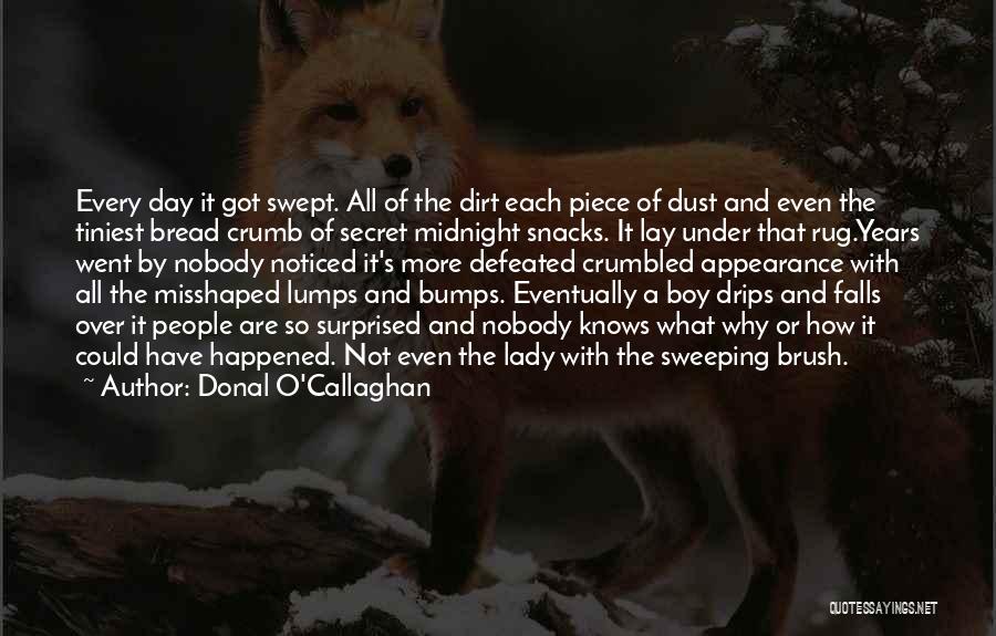 Donal O'Callaghan Quotes: Every Day It Got Swept. All Of The Dirt Each Piece Of Dust And Even The Tiniest Bread Crumb Of