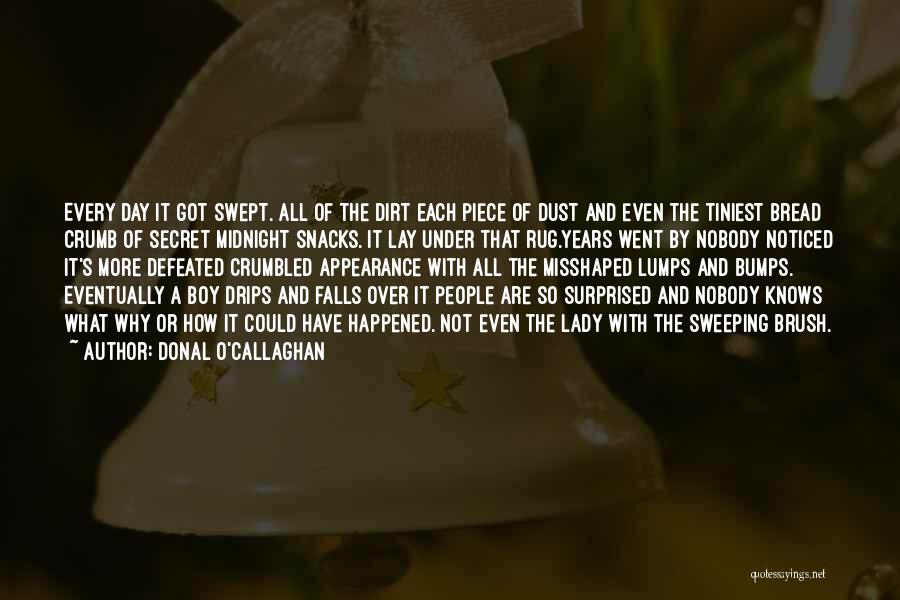 Donal O'Callaghan Quotes: Every Day It Got Swept. All Of The Dirt Each Piece Of Dust And Even The Tiniest Bread Crumb Of