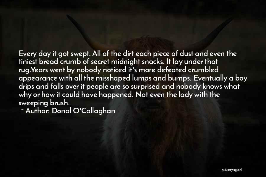 Donal O'Callaghan Quotes: Every Day It Got Swept. All Of The Dirt Each Piece Of Dust And Even The Tiniest Bread Crumb Of