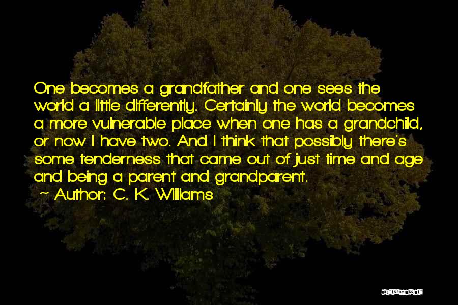 C. K. Williams Quotes: One Becomes A Grandfather And One Sees The World A Little Differently. Certainly The World Becomes A More Vulnerable Place