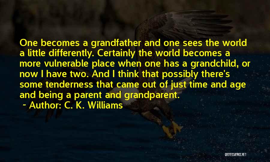 C. K. Williams Quotes: One Becomes A Grandfather And One Sees The World A Little Differently. Certainly The World Becomes A More Vulnerable Place