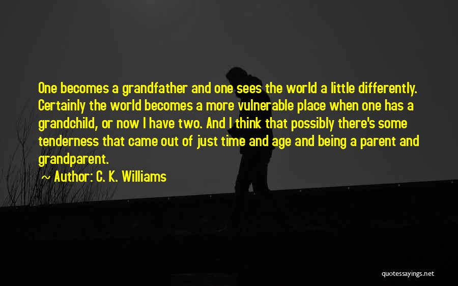 C. K. Williams Quotes: One Becomes A Grandfather And One Sees The World A Little Differently. Certainly The World Becomes A More Vulnerable Place