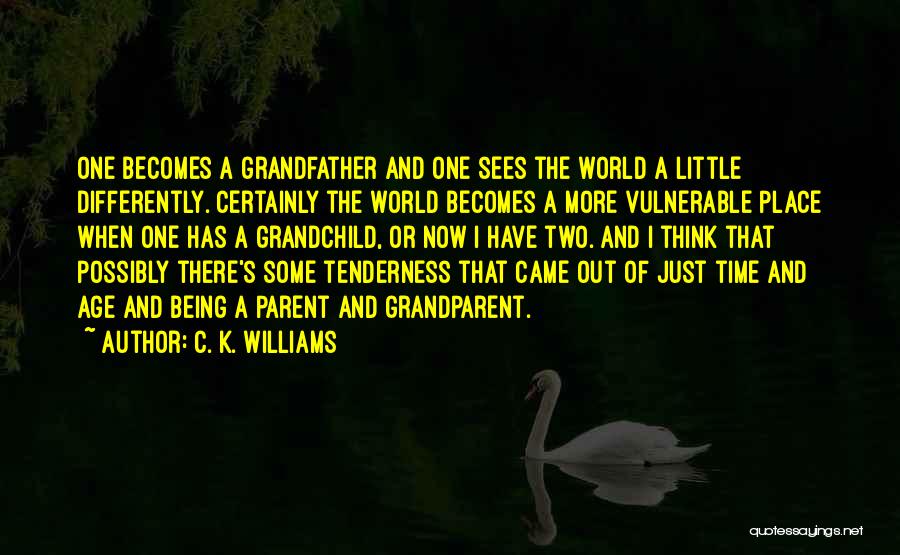 C. K. Williams Quotes: One Becomes A Grandfather And One Sees The World A Little Differently. Certainly The World Becomes A More Vulnerable Place