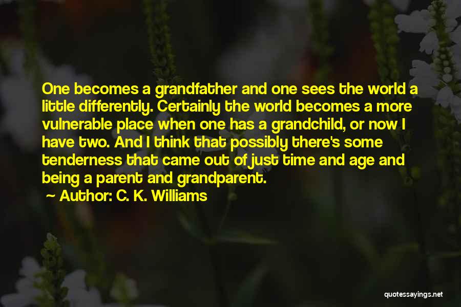 C. K. Williams Quotes: One Becomes A Grandfather And One Sees The World A Little Differently. Certainly The World Becomes A More Vulnerable Place