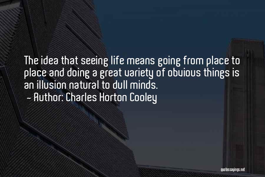 Charles Horton Cooley Quotes: The Idea That Seeing Life Means Going From Place To Place And Doing A Great Variety Of Obvious Things Is