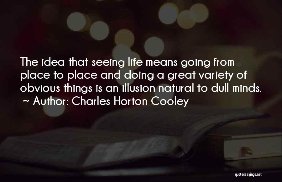 Charles Horton Cooley Quotes: The Idea That Seeing Life Means Going From Place To Place And Doing A Great Variety Of Obvious Things Is