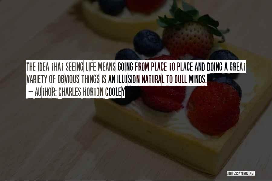 Charles Horton Cooley Quotes: The Idea That Seeing Life Means Going From Place To Place And Doing A Great Variety Of Obvious Things Is