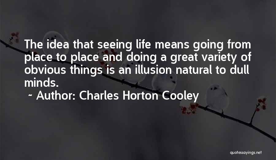 Charles Horton Cooley Quotes: The Idea That Seeing Life Means Going From Place To Place And Doing A Great Variety Of Obvious Things Is