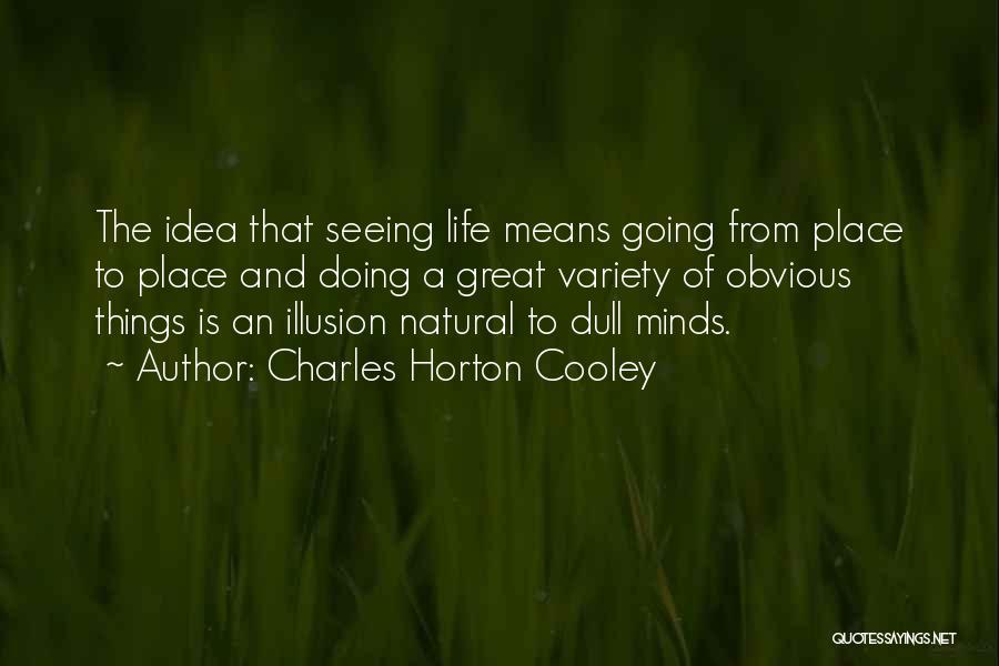 Charles Horton Cooley Quotes: The Idea That Seeing Life Means Going From Place To Place And Doing A Great Variety Of Obvious Things Is