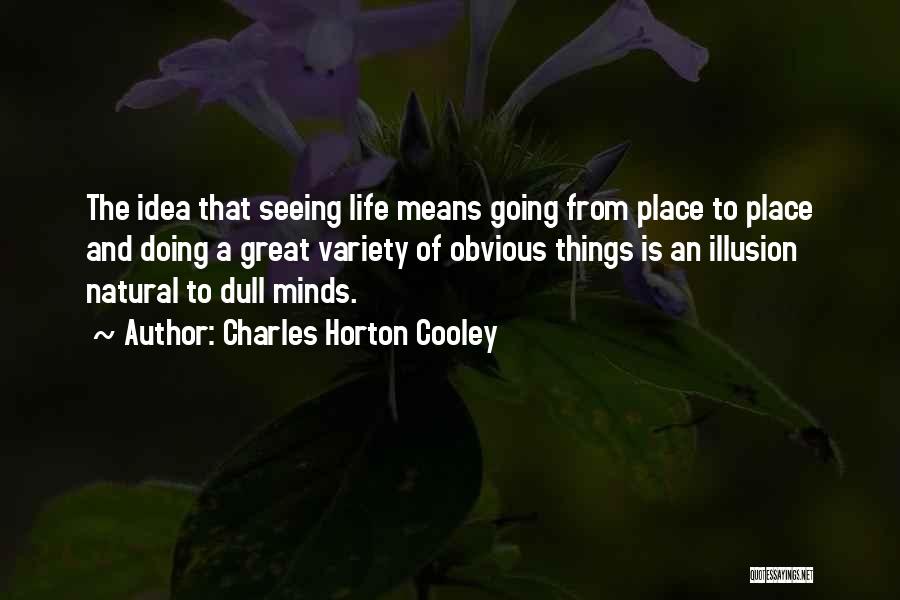 Charles Horton Cooley Quotes: The Idea That Seeing Life Means Going From Place To Place And Doing A Great Variety Of Obvious Things Is