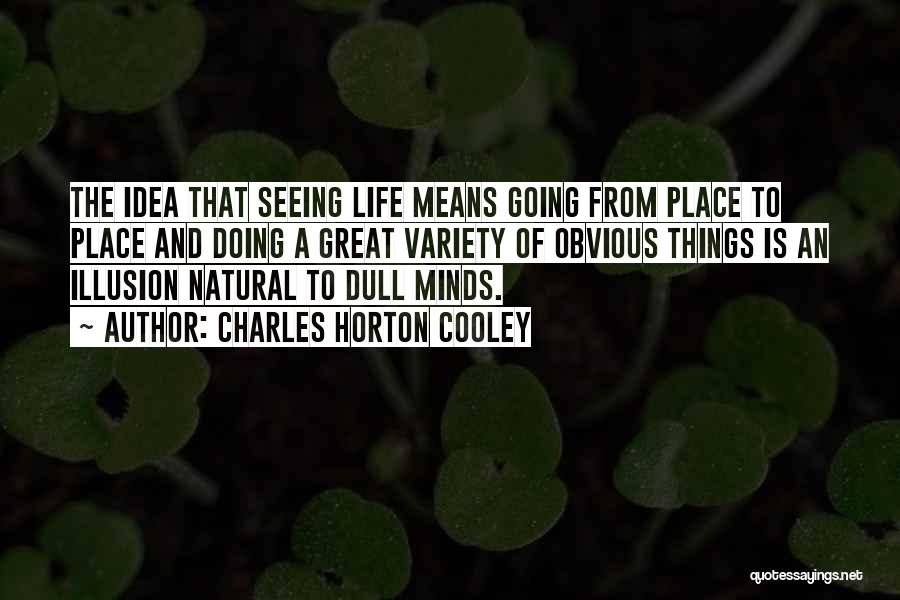 Charles Horton Cooley Quotes: The Idea That Seeing Life Means Going From Place To Place And Doing A Great Variety Of Obvious Things Is