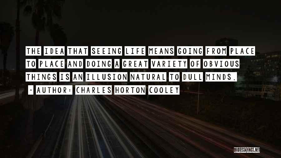 Charles Horton Cooley Quotes: The Idea That Seeing Life Means Going From Place To Place And Doing A Great Variety Of Obvious Things Is