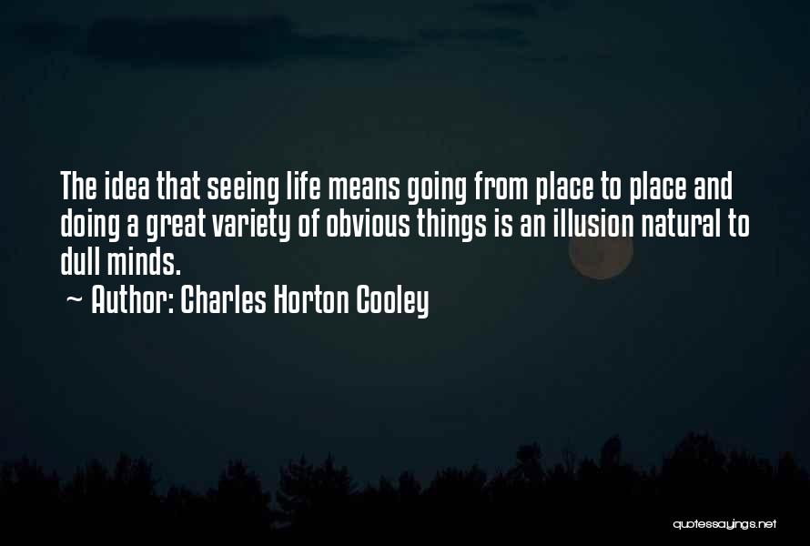 Charles Horton Cooley Quotes: The Idea That Seeing Life Means Going From Place To Place And Doing A Great Variety Of Obvious Things Is