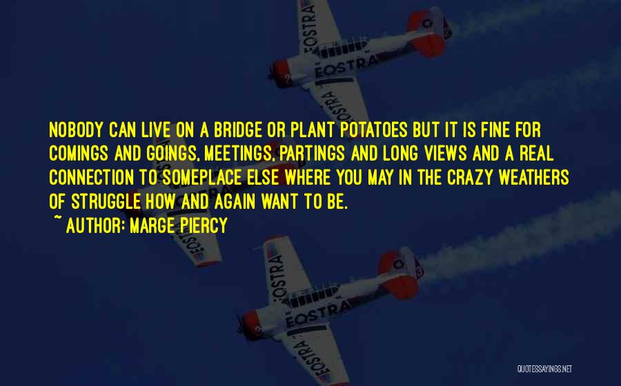 Marge Piercy Quotes: Nobody Can Live On A Bridge Or Plant Potatoes But It Is Fine For Comings And Goings, Meetings, Partings And