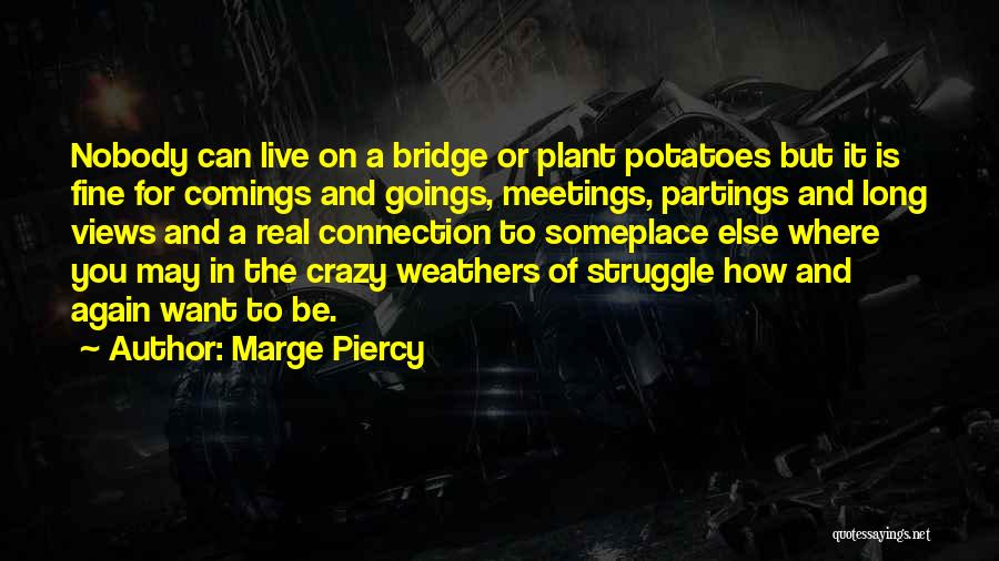 Marge Piercy Quotes: Nobody Can Live On A Bridge Or Plant Potatoes But It Is Fine For Comings And Goings, Meetings, Partings And