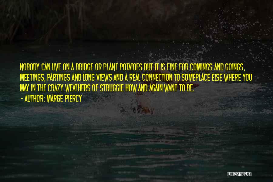 Marge Piercy Quotes: Nobody Can Live On A Bridge Or Plant Potatoes But It Is Fine For Comings And Goings, Meetings, Partings And