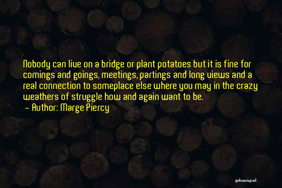 Marge Piercy Quotes: Nobody Can Live On A Bridge Or Plant Potatoes But It Is Fine For Comings And Goings, Meetings, Partings And