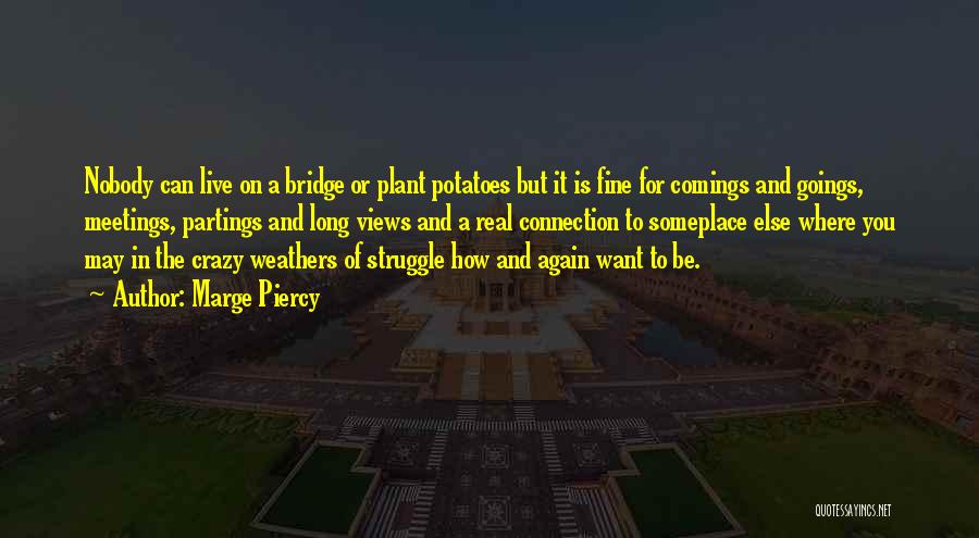 Marge Piercy Quotes: Nobody Can Live On A Bridge Or Plant Potatoes But It Is Fine For Comings And Goings, Meetings, Partings And