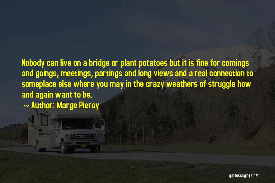 Marge Piercy Quotes: Nobody Can Live On A Bridge Or Plant Potatoes But It Is Fine For Comings And Goings, Meetings, Partings And