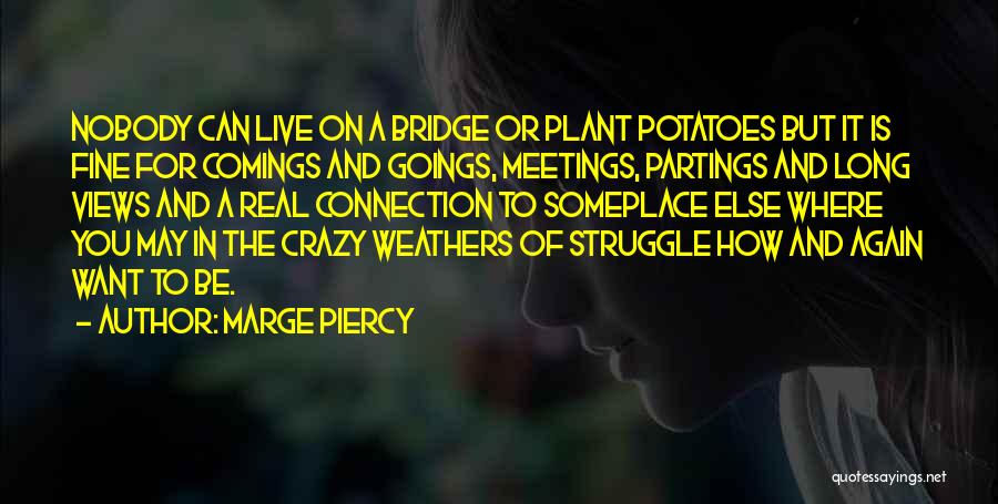 Marge Piercy Quotes: Nobody Can Live On A Bridge Or Plant Potatoes But It Is Fine For Comings And Goings, Meetings, Partings And