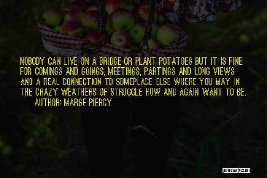 Marge Piercy Quotes: Nobody Can Live On A Bridge Or Plant Potatoes But It Is Fine For Comings And Goings, Meetings, Partings And