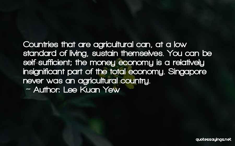 Lee Kuan Yew Quotes: Countries That Are Agricultural Can, At A Low Standard Of Living, Sustain Themselves. You Can Be Self-sufficient; The Money Economy