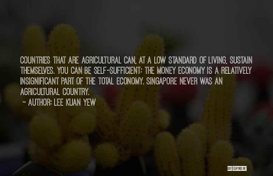 Lee Kuan Yew Quotes: Countries That Are Agricultural Can, At A Low Standard Of Living, Sustain Themselves. You Can Be Self-sufficient; The Money Economy