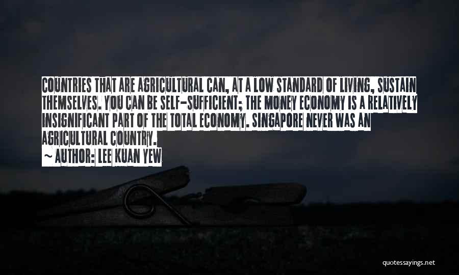 Lee Kuan Yew Quotes: Countries That Are Agricultural Can, At A Low Standard Of Living, Sustain Themselves. You Can Be Self-sufficient; The Money Economy
