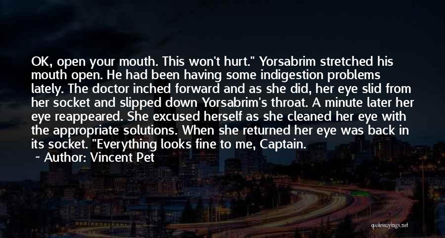 Vincent Pet Quotes: Ok, Open Your Mouth. This Won't Hurt. Yorsabrim Stretched His Mouth Open. He Had Been Having Some Indigestion Problems Lately.