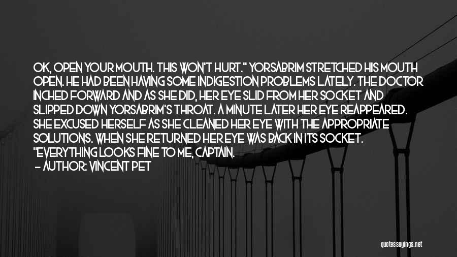 Vincent Pet Quotes: Ok, Open Your Mouth. This Won't Hurt. Yorsabrim Stretched His Mouth Open. He Had Been Having Some Indigestion Problems Lately.