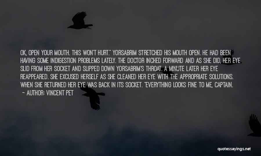 Vincent Pet Quotes: Ok, Open Your Mouth. This Won't Hurt. Yorsabrim Stretched His Mouth Open. He Had Been Having Some Indigestion Problems Lately.