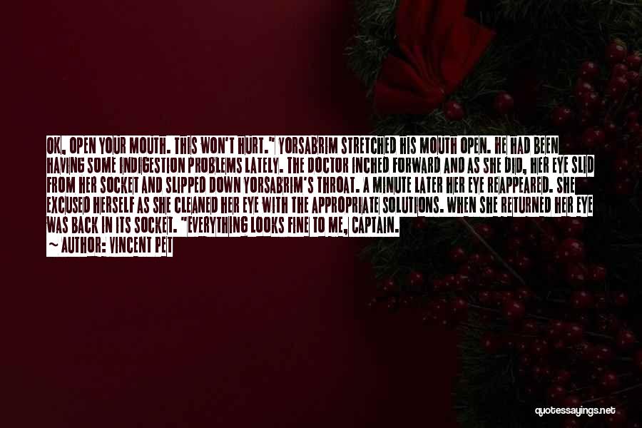 Vincent Pet Quotes: Ok, Open Your Mouth. This Won't Hurt. Yorsabrim Stretched His Mouth Open. He Had Been Having Some Indigestion Problems Lately.