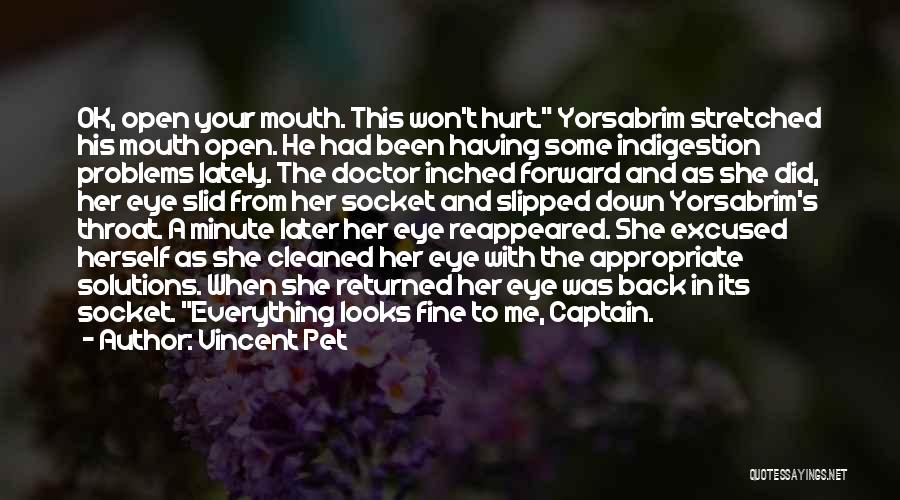 Vincent Pet Quotes: Ok, Open Your Mouth. This Won't Hurt. Yorsabrim Stretched His Mouth Open. He Had Been Having Some Indigestion Problems Lately.