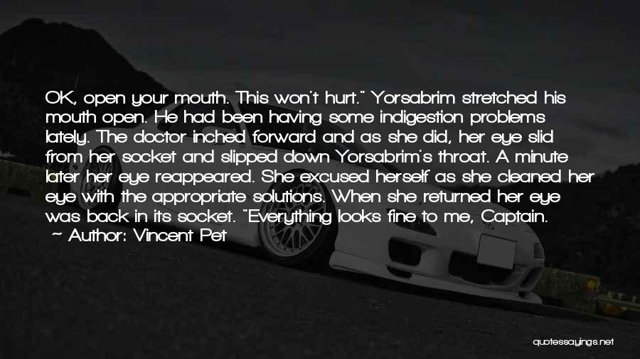 Vincent Pet Quotes: Ok, Open Your Mouth. This Won't Hurt. Yorsabrim Stretched His Mouth Open. He Had Been Having Some Indigestion Problems Lately.