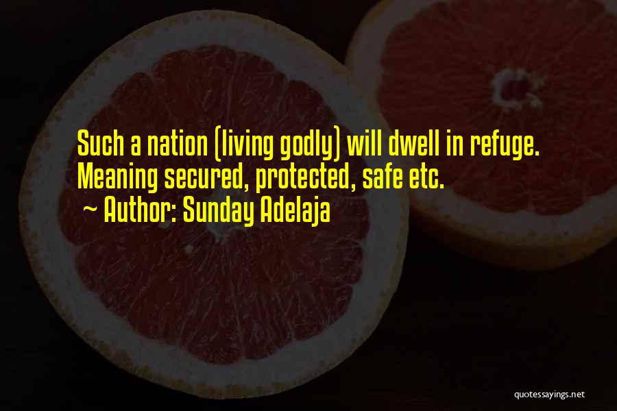 Sunday Adelaja Quotes: Such A Nation (living Godly) Will Dwell In Refuge. Meaning Secured, Protected, Safe Etc.