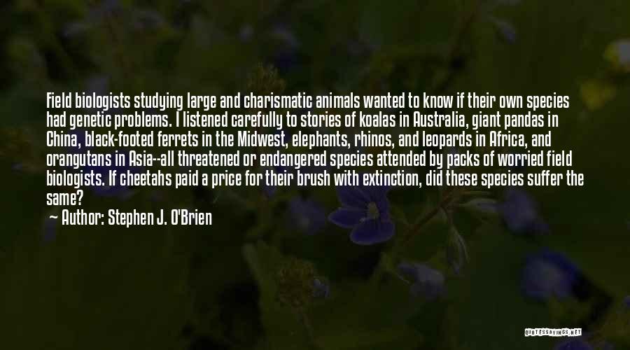 Stephen J. O'Brien Quotes: Field Biologists Studying Large And Charismatic Animals Wanted To Know If Their Own Species Had Genetic Problems. I Listened Carefully