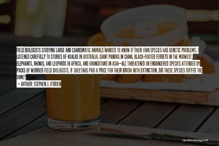 Stephen J. O'Brien Quotes: Field Biologists Studying Large And Charismatic Animals Wanted To Know If Their Own Species Had Genetic Problems. I Listened Carefully