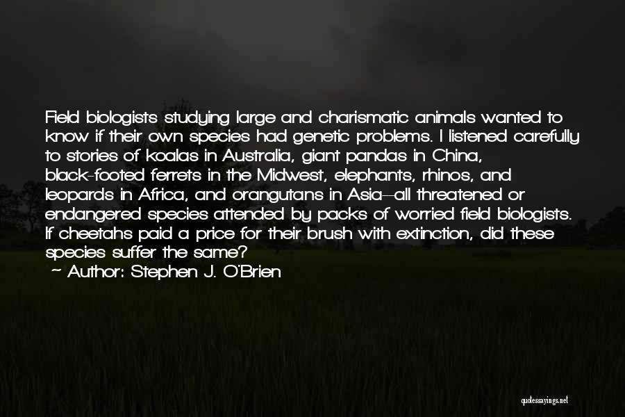 Stephen J. O'Brien Quotes: Field Biologists Studying Large And Charismatic Animals Wanted To Know If Their Own Species Had Genetic Problems. I Listened Carefully
