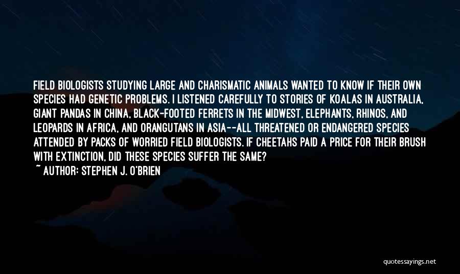 Stephen J. O'Brien Quotes: Field Biologists Studying Large And Charismatic Animals Wanted To Know If Their Own Species Had Genetic Problems. I Listened Carefully