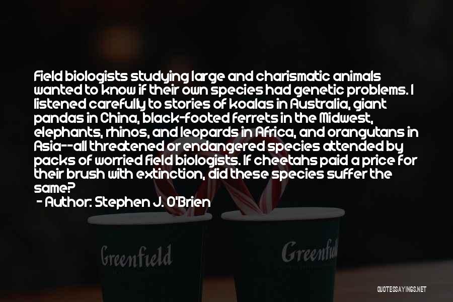 Stephen J. O'Brien Quotes: Field Biologists Studying Large And Charismatic Animals Wanted To Know If Their Own Species Had Genetic Problems. I Listened Carefully