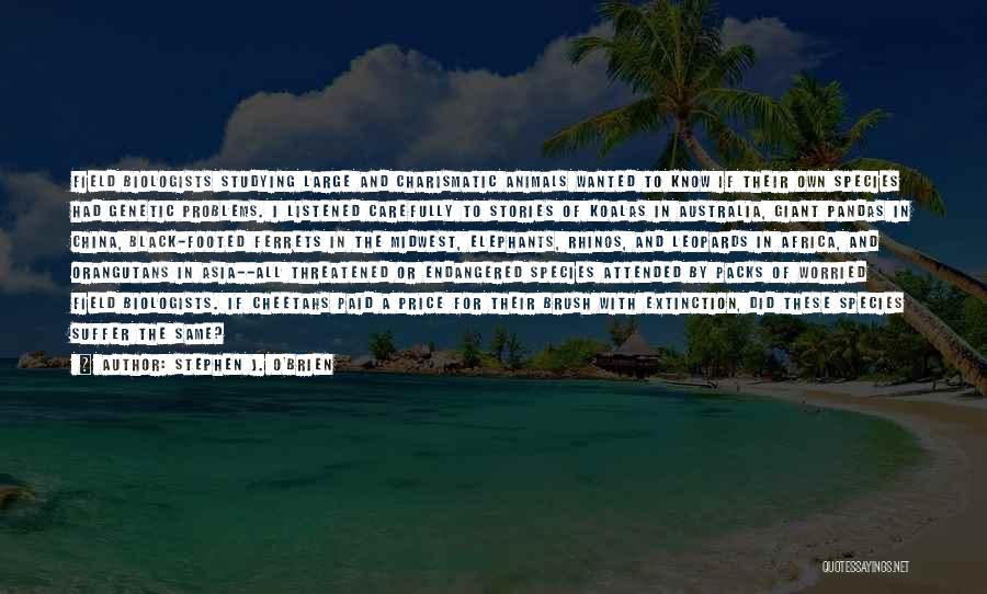 Stephen J. O'Brien Quotes: Field Biologists Studying Large And Charismatic Animals Wanted To Know If Their Own Species Had Genetic Problems. I Listened Carefully