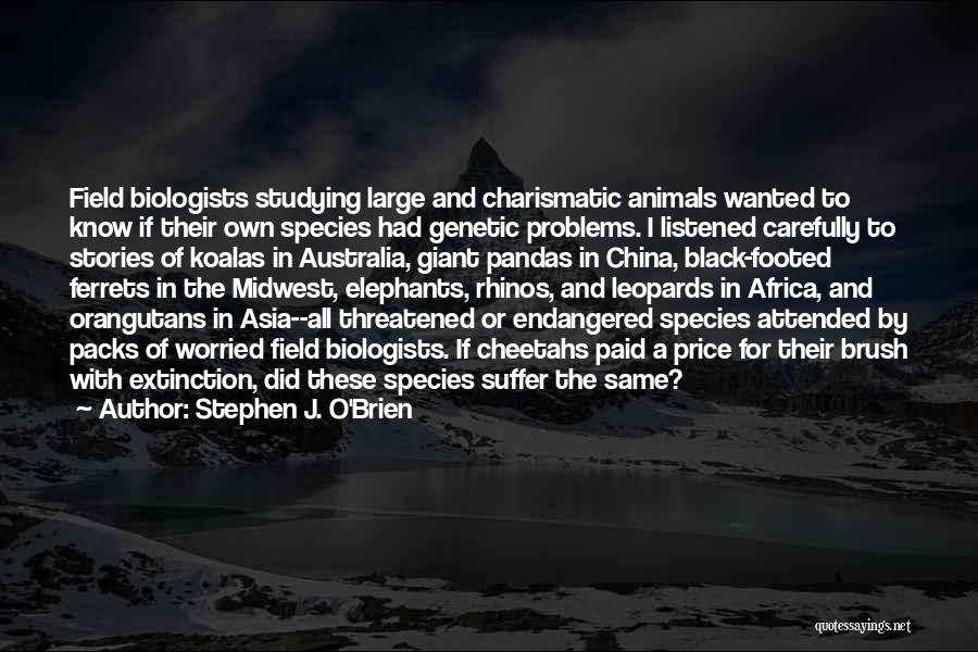 Stephen J. O'Brien Quotes: Field Biologists Studying Large And Charismatic Animals Wanted To Know If Their Own Species Had Genetic Problems. I Listened Carefully