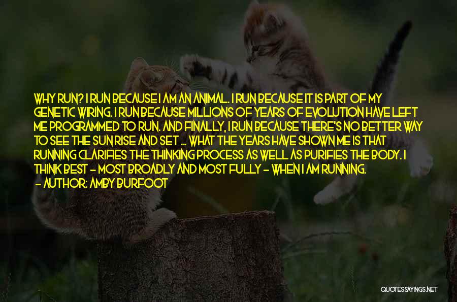 Amby Burfoot Quotes: Why Run? I Run Because I Am An Animal. I Run Because It Is Part Of My Genetic Wiring. I