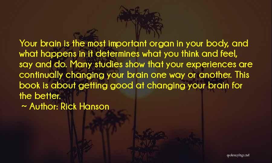 Rick Hanson Quotes: Your Brain Is The Most Important Organ In Your Body, And What Happens In It Determines What You Think And